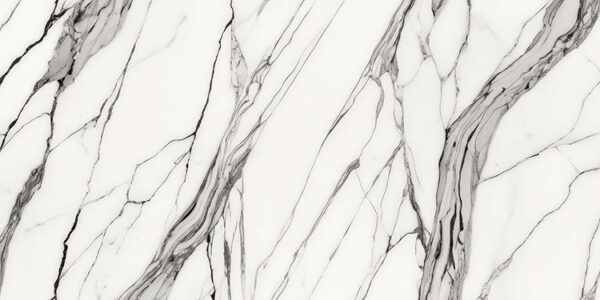 The image is a black and white marble texture background. The marble has a smooth and glossy surface with deep veins running through it. The veins are irregularly shaped and vary in size and shape, creating a sense of depth and dimension. The colors of the marble are predominantly white, with some hints of gray and black. The overall effect is a striking contrast between the two colors.