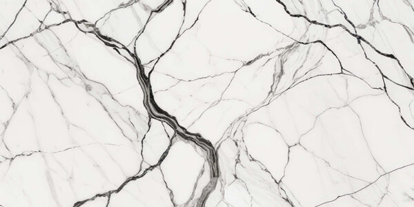 The image is a black and white marble texture background. The marble has a smooth and glossy surface with deep veins running through it. The veins are irregularly shaped and vary in size and shape, creating a sense of depth and dimension. The colors of the marble are predominantly white, with some hints of gray and black. The overall effect is a striking contrast between the two colors.